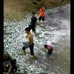 Kejadian Ganjil Ikan Kecil Naik Ke Persisir Pantai Di Lahad Datu Sabah